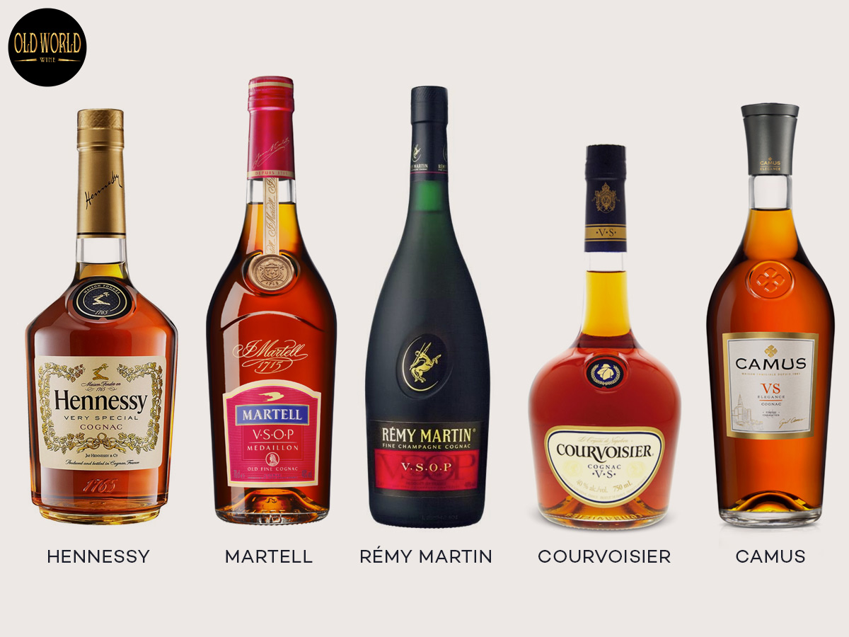 Rượu Cognac là gì? Hướng dẫn tìm kiếm rượu Cognac tuyệt vời